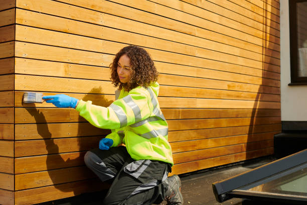Historical Building Siding Restoration in Tubac, AZ