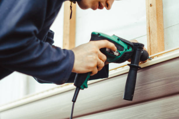 Best Siding Painting and Refinishing  in Tubac, AZ